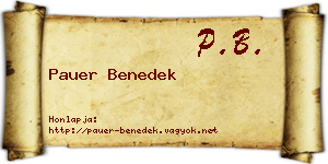 Pauer Benedek névjegykártya