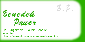 benedek pauer business card